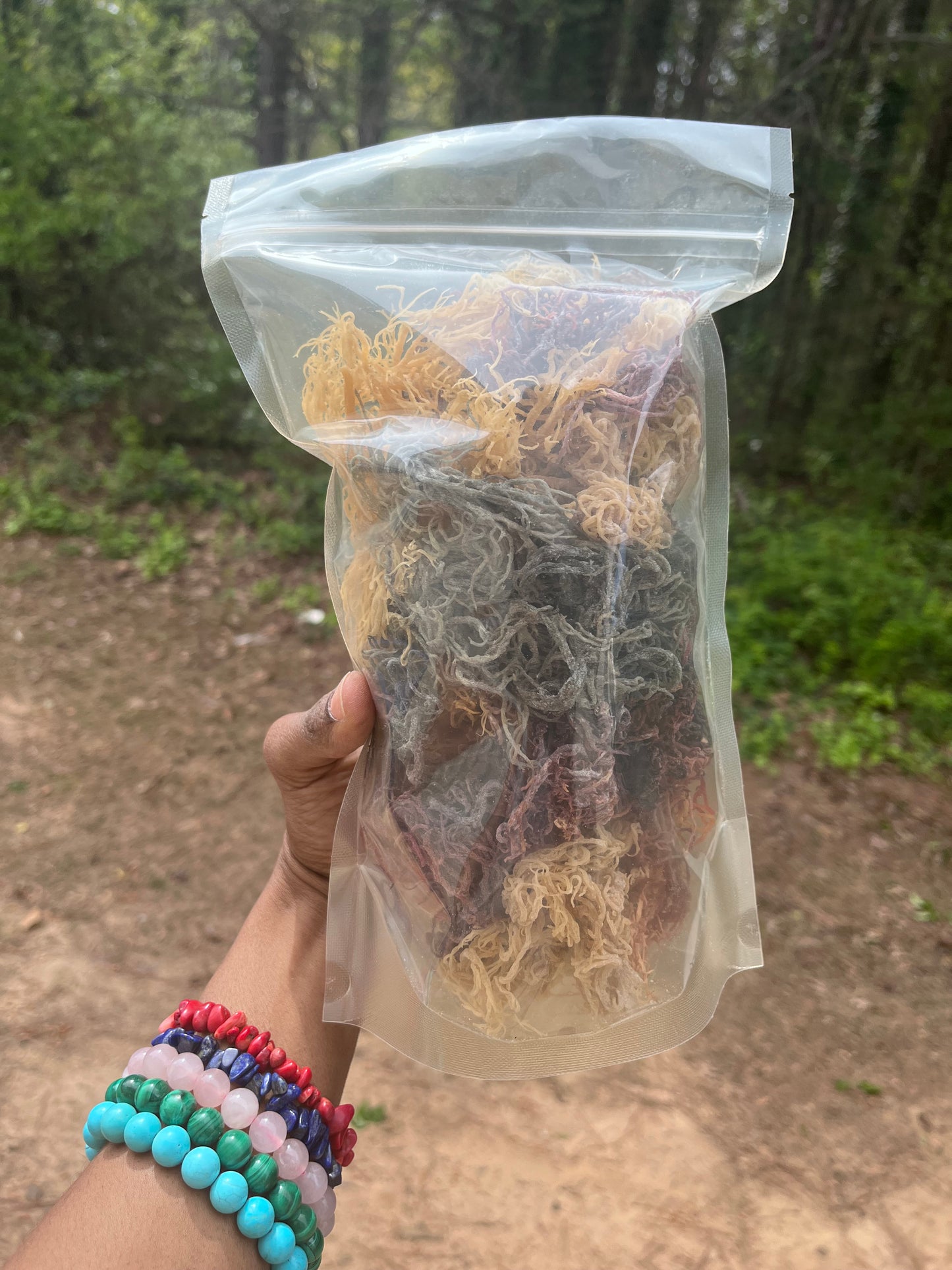 Raw Full Spectrum Gracilaria | St. Lucian Sea Moss | Warm Water