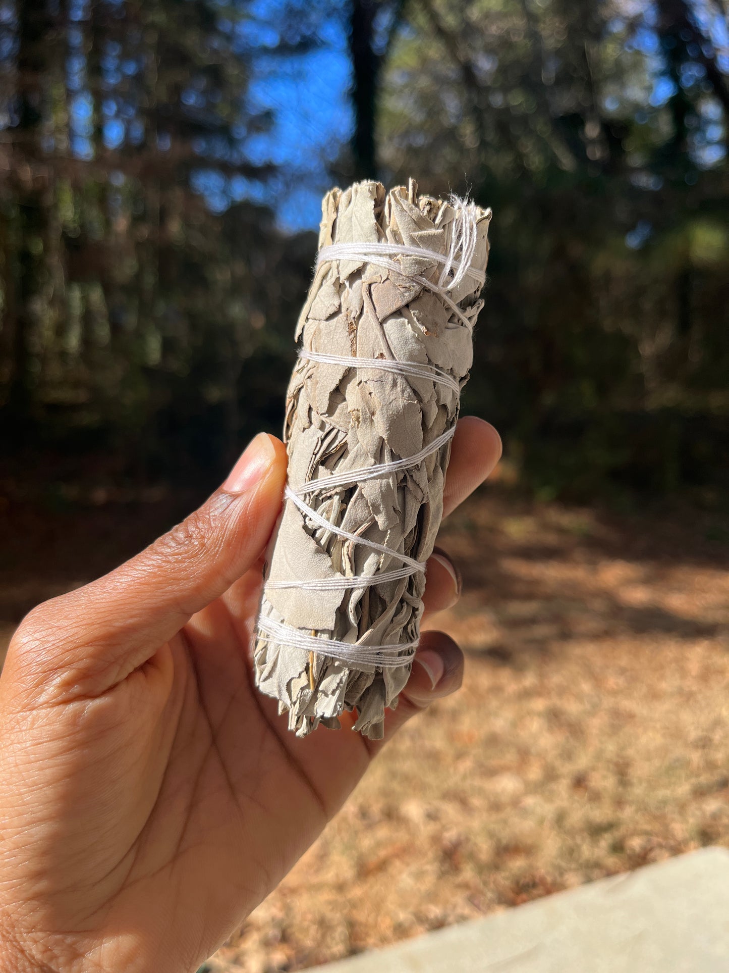 White Sage Smudge Stick