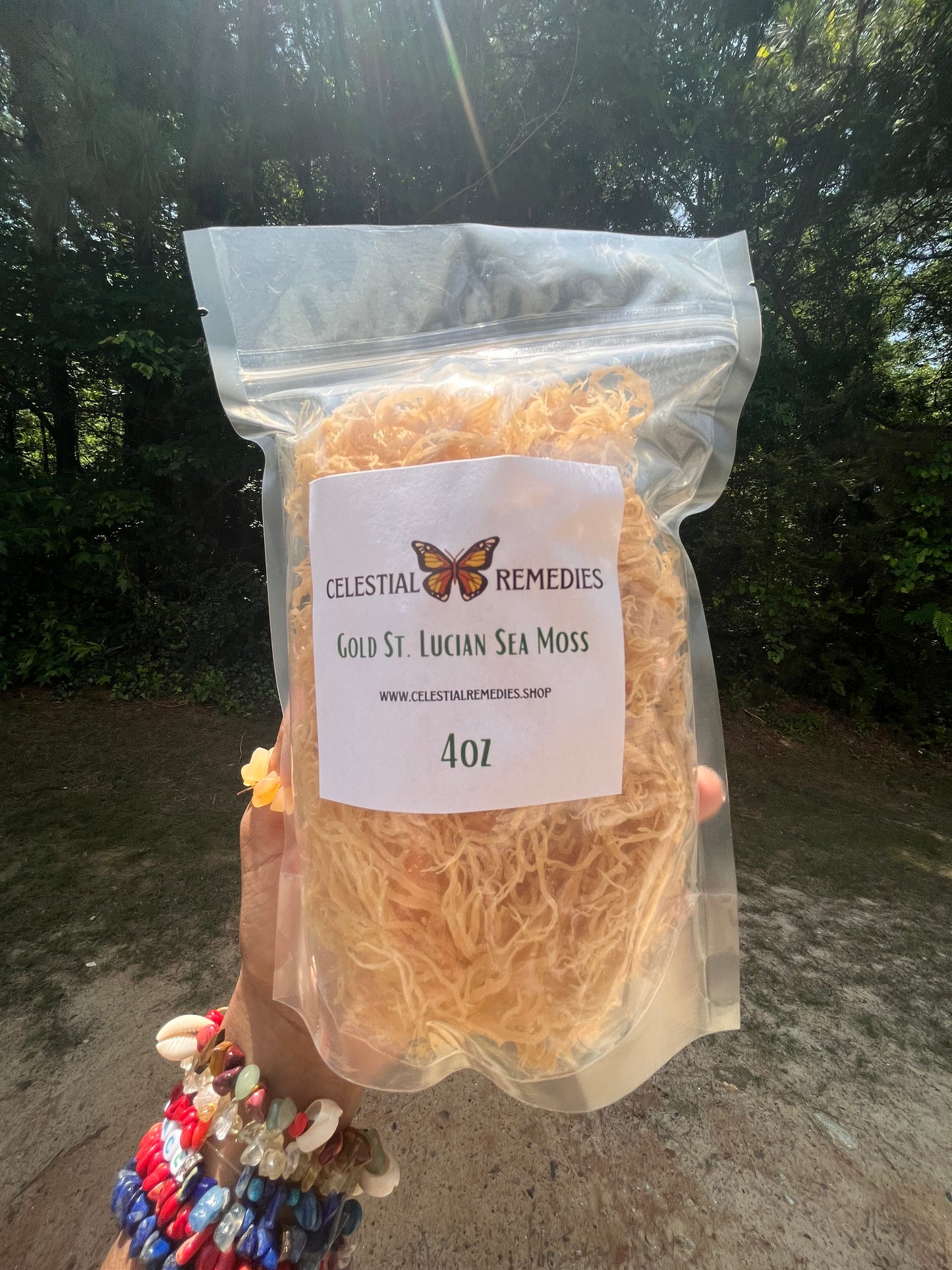 Raw Gold Gracilaria | Sea Moss | Warm Water St. Lucian