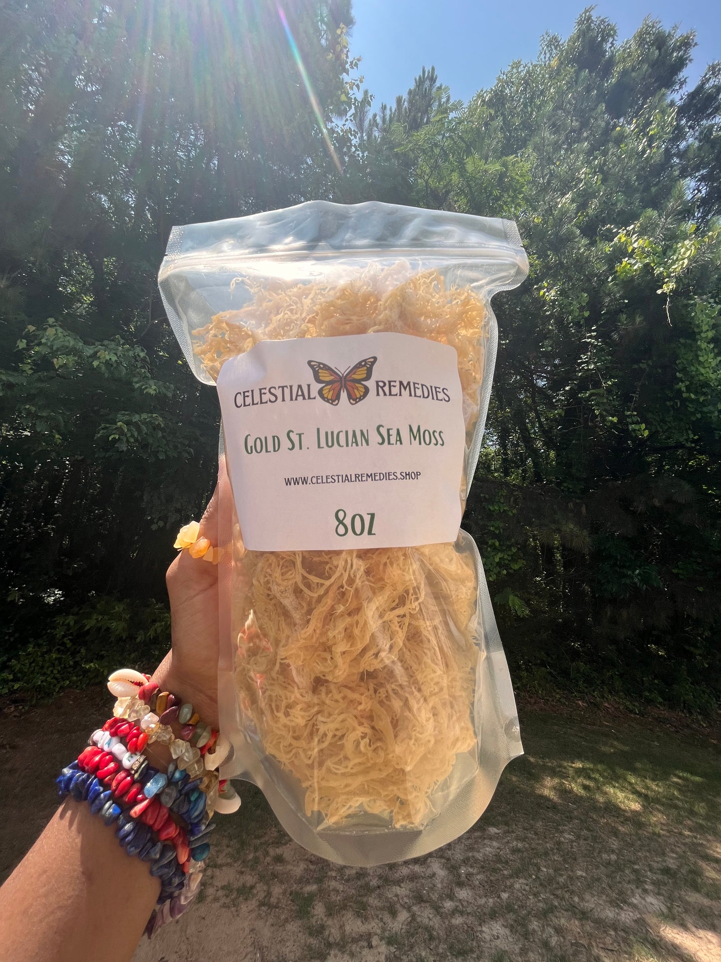 Raw Gold Gracilaria | Sea Moss | Warm Water St. Lucian