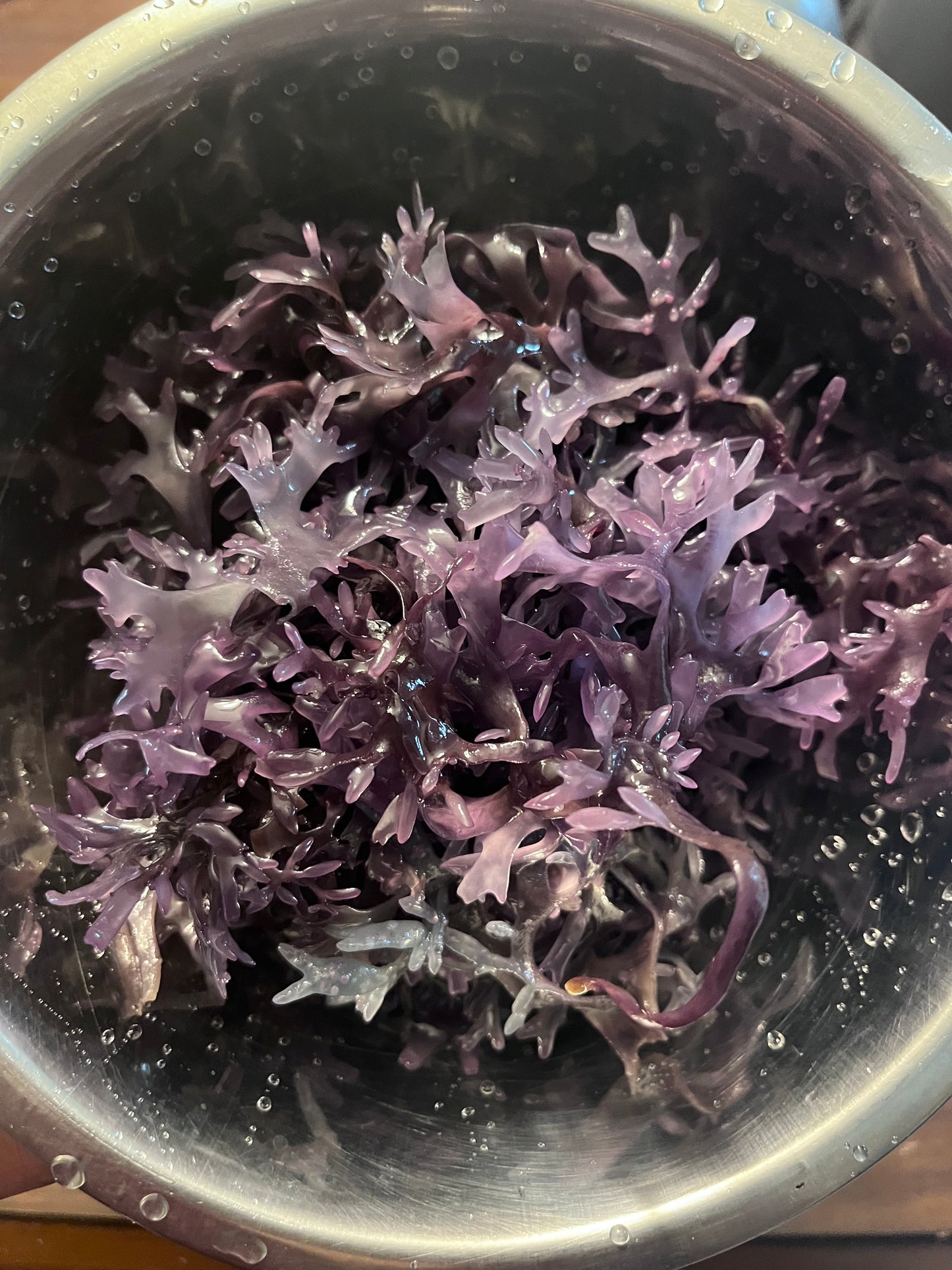 Raw Purple Chondrus Chrispus | Irish Sea Moss | Cold Water Atlantic Ocean