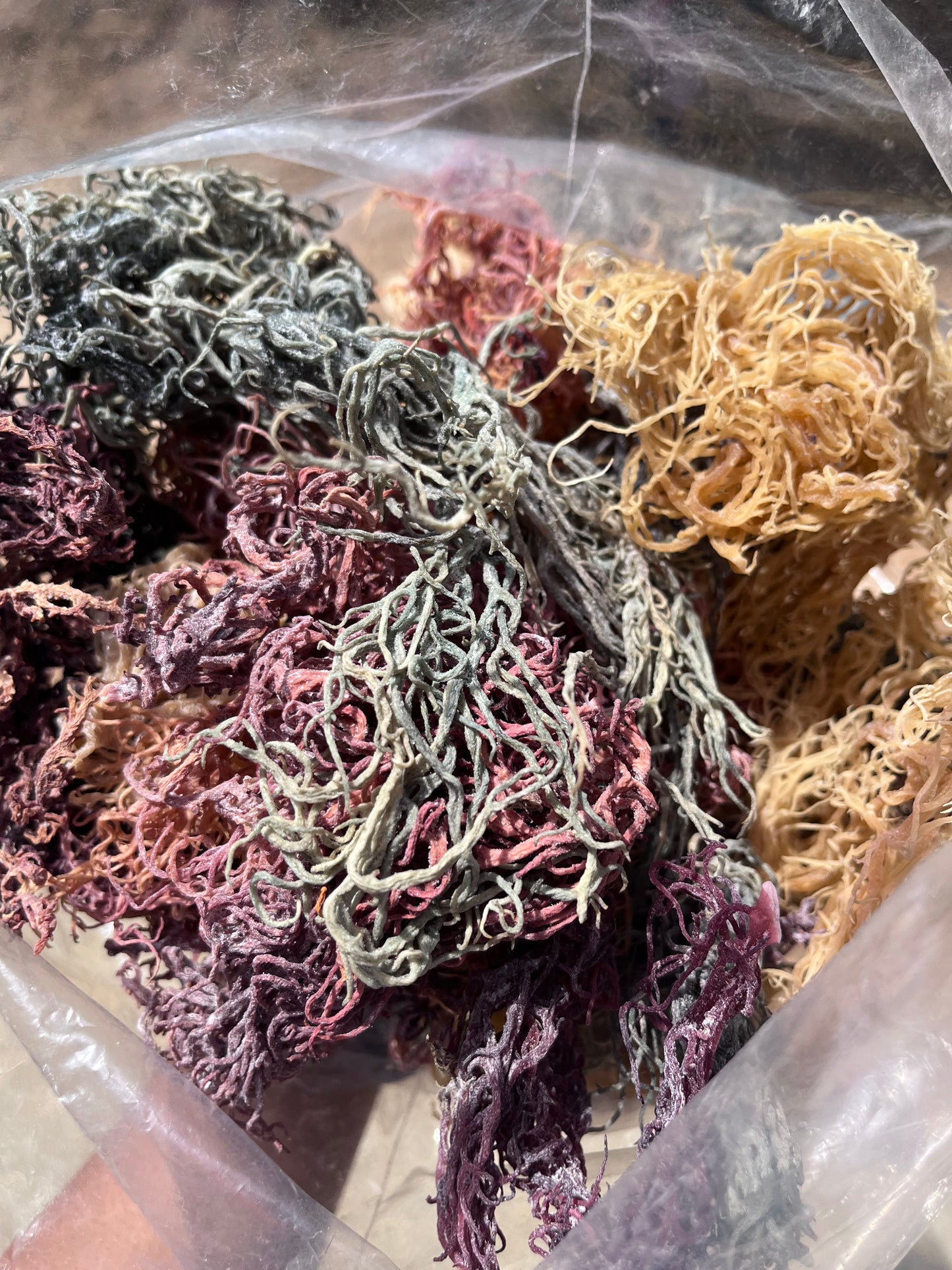 Full Spectrum St. Lucia Sea Moss – dried and ready for soaking, packed with essential minerals and nutrients