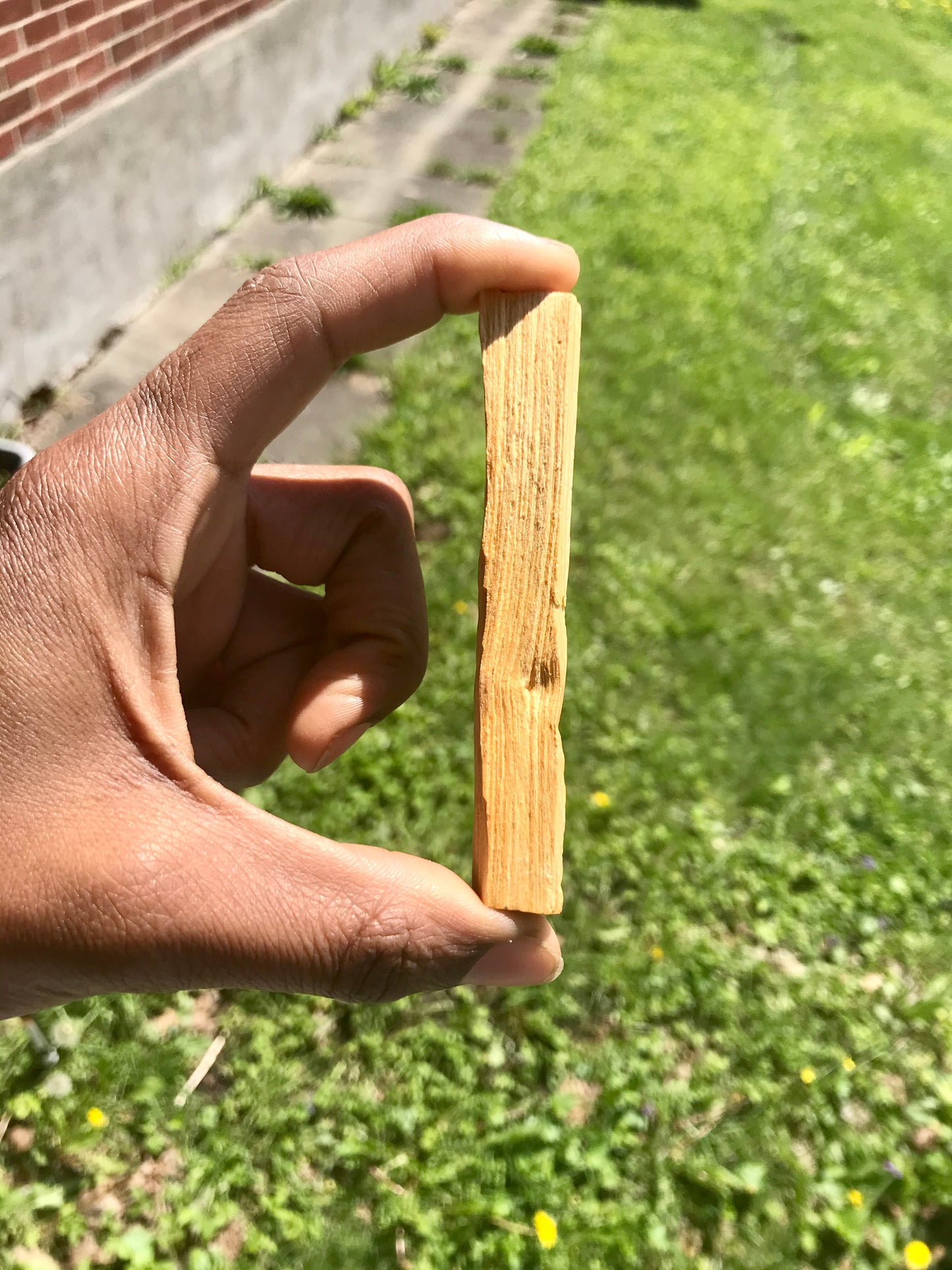 Palo Santo