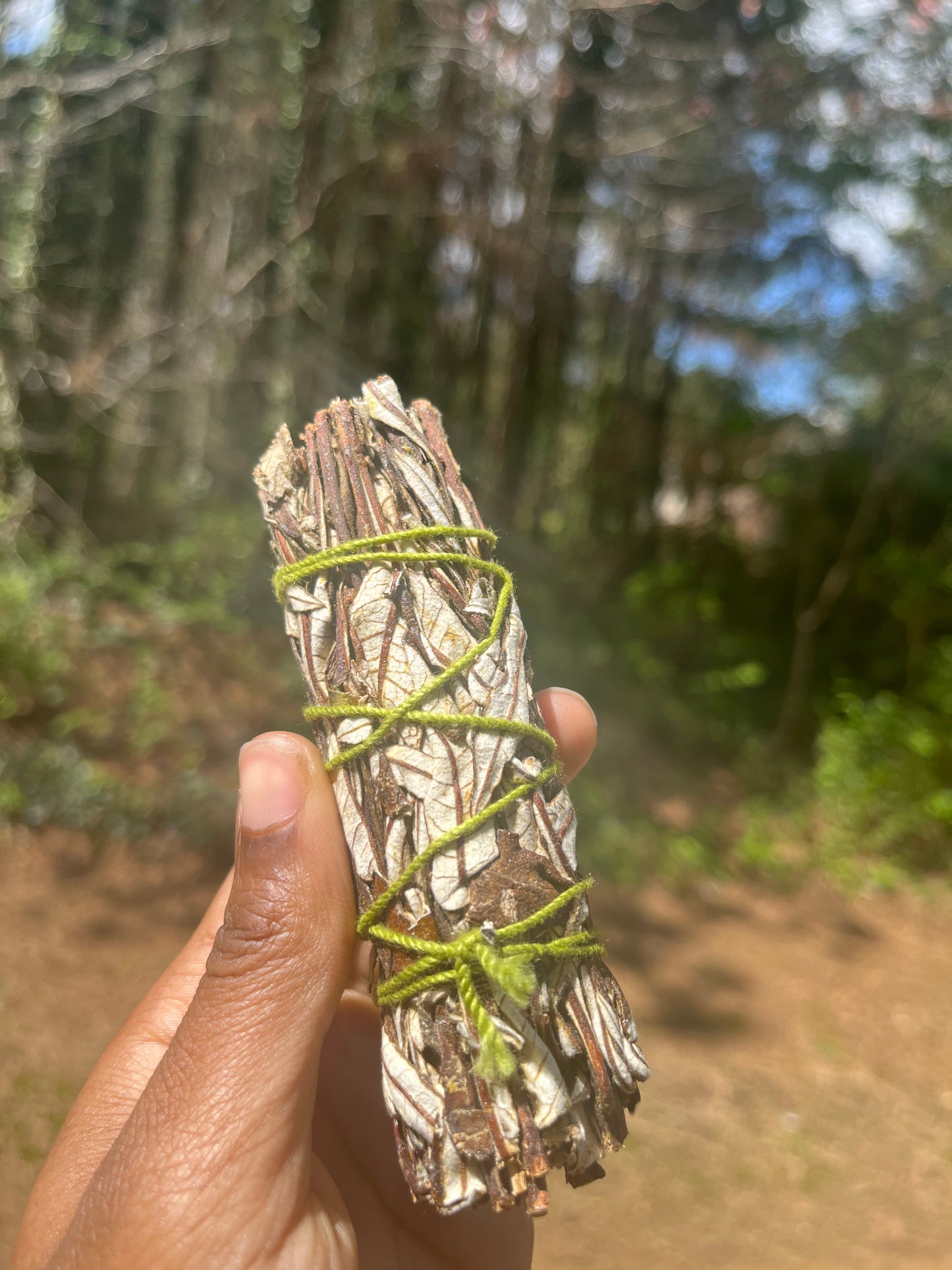 5” Yerba Santa Smudge Stick