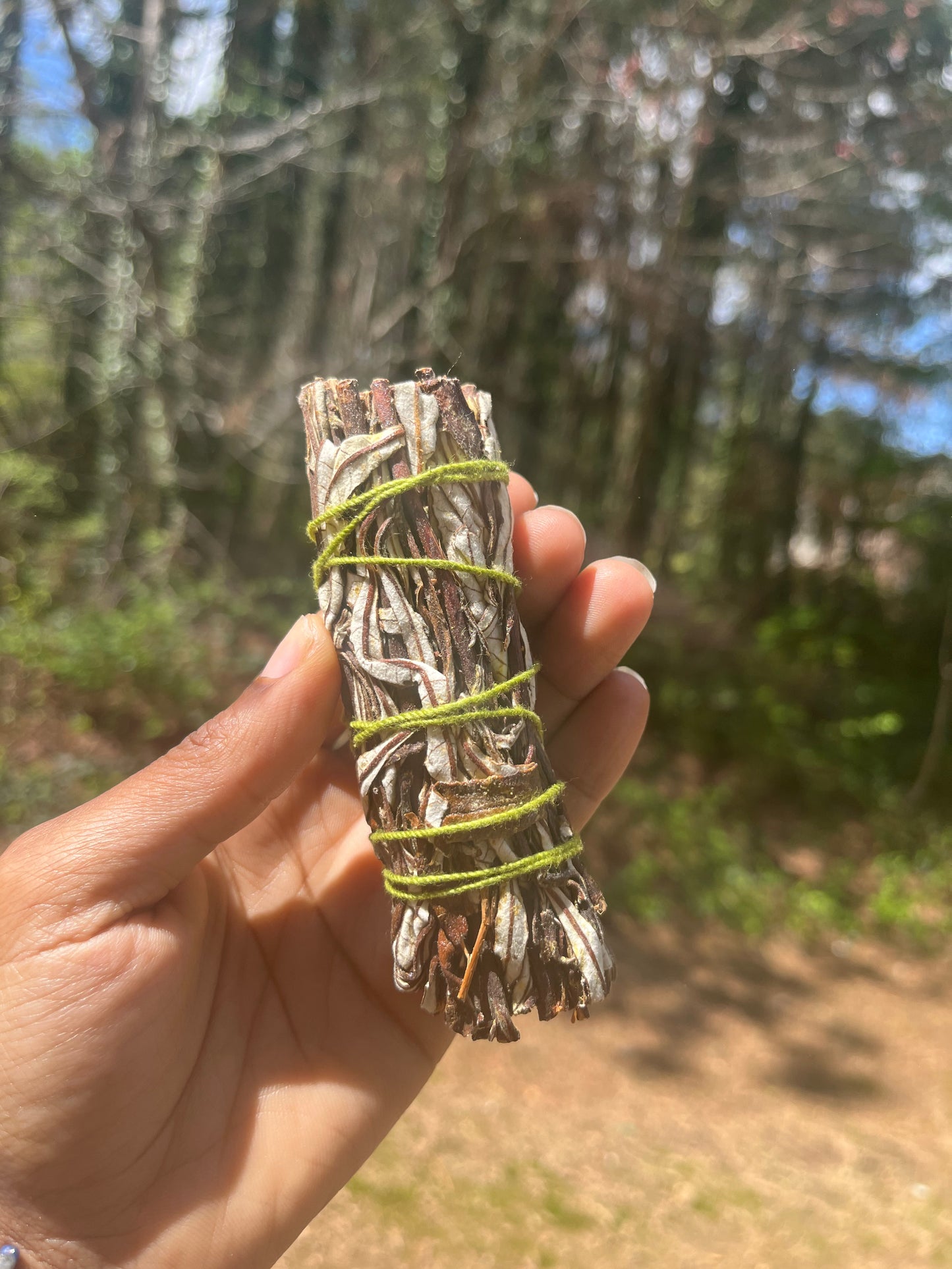 5” Yerba Santa Smudge Stick